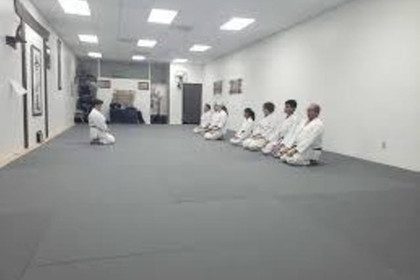 Image 2 from Fremont Shotokan Karate partner gallery