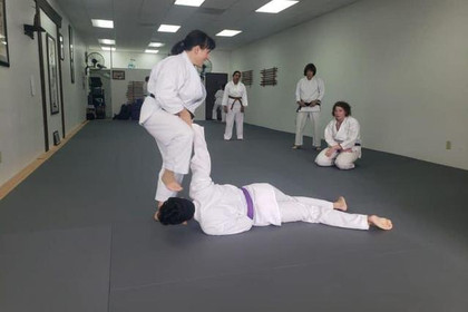 Image 4 from Fremont Shotokan Karate partner gallery