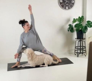 Image 4 from Camas Yoga & Co partner gallery