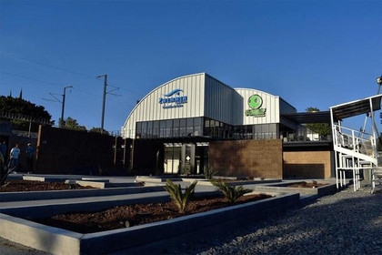 Imagen 4 de la galería del partner Zwemmen - Querétaro