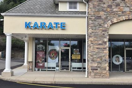 Image 3 from Villari's Self Defense Center partner gallery