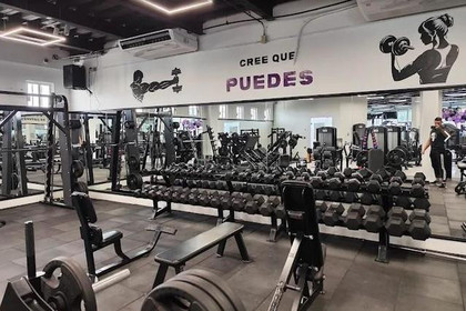 Imagen 2 de la galería del partner Wolf Nation Gym