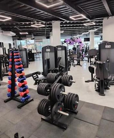 Imagen 3 de la galería del partner Wolf Nation Gym