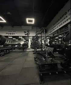 Imagen 5 de la galería del partner Wolf Nation Gym