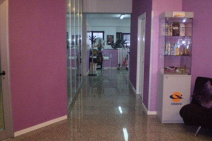 Immagine 8 dalla galleria del partner Asd Olimpian'S Club
