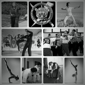 Imagem 4 da galeria do parceiro Confederação Brasileira Scientific Hapkido System