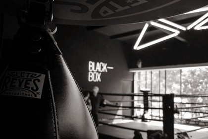 Imagen 5 de la galería del partner Black Box / Valle Real