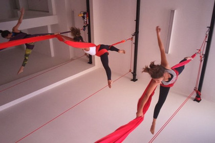 Imagem 5 da galeria do parceiro Fama Circo e Pole