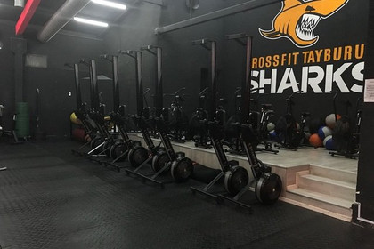 Imagen 2 de la galería del partner Crossfit Tayburun Sharks
