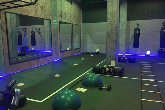 Imagen 1 de la galería del partner Treino