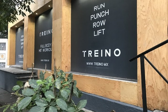 Imagen 2 de la galería del partner Treino