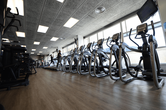 Imagen 3 de la galería del partner Duin - Jordi Marí