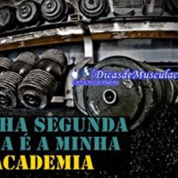 Imagem 3 da galeria do parceiro Academia Malhação