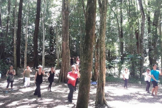 Imagem 1 da galeria do parceiro Projeto Tai Chi Consciente