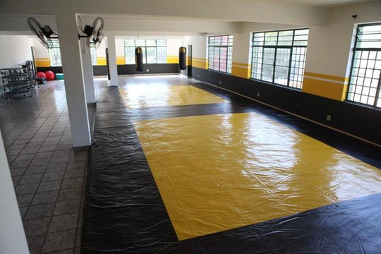 Imagem 2 da galeria do parceiro Academia Lion Fitness