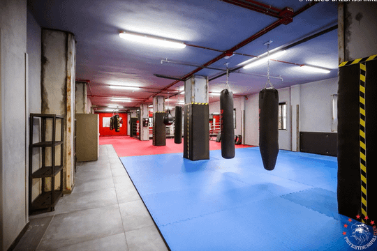 Immagine 2 dalla galleria del partner Pro Fighting Napoli Club