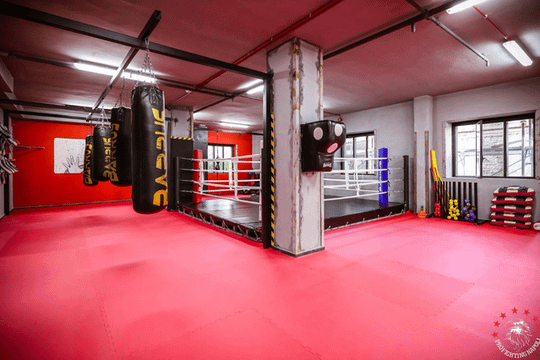Immagine 3 dalla galleria del partner Pro Fighting Napoli Club