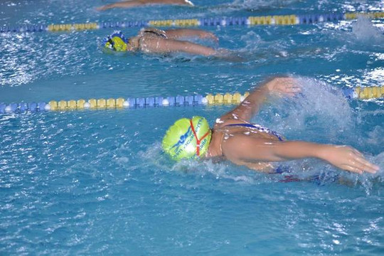 Immagine 3 dalla galleria del partner Venafro Nuoto