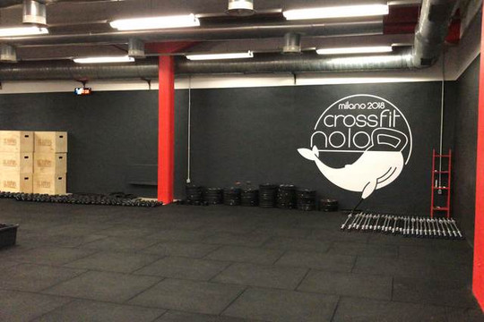 Immagine 2 dalla galleria del partner CrossFit Nolo