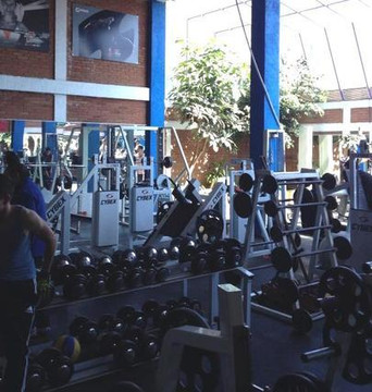 Imagen 1 de la galería del partner Master Gym