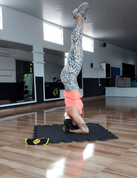 Imagem 3 da galeria do parceiro GO!fit PRO