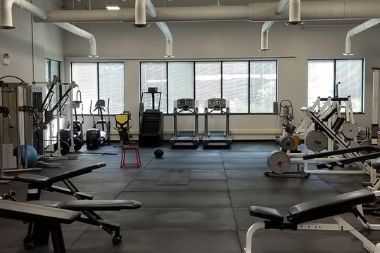 Image 1 from V.I.P. Health & Fitness Clinic partner gallery