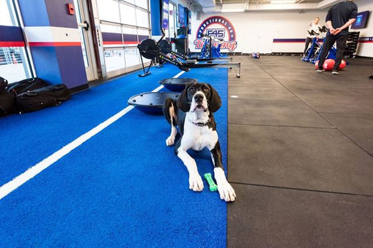 Image 3 from F45 Sloans Lake partner gallery