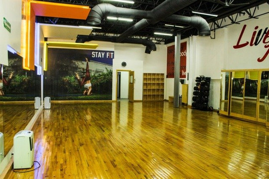 Imagen 3 de la galería del partner Stay Fit Fitness Center