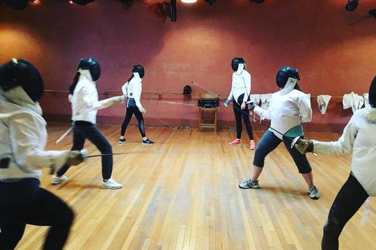 Image 1 from Silverlake Fencing partner gallery