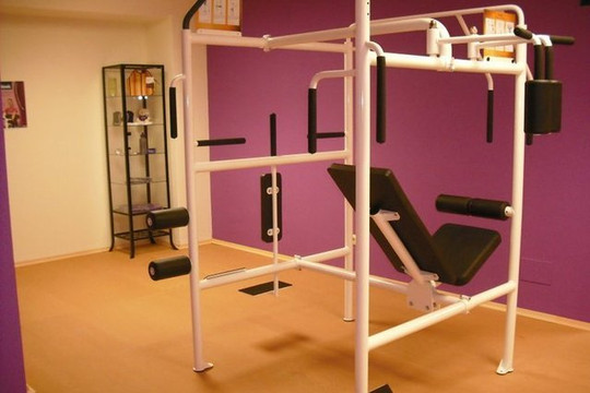 Imagen 1 de la galería del partner Curves Santiago Norte