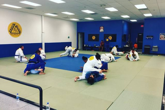 Image 1 from Gracie Jiu Jitsu - North Las Vegas partner gallery