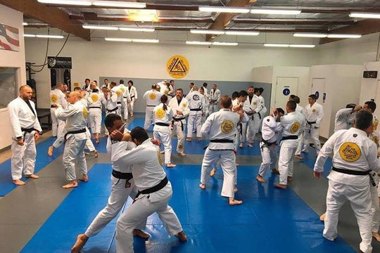 Image 3 from Gracie Jiu Jitsu - North Las Vegas partner gallery