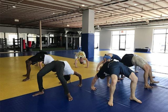 Image 2 from LV Capoeira Academy partner gallery