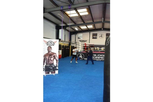 Bild 3 von Cologne Scorpions e.V. - Steinrutschweg Partnergalerie