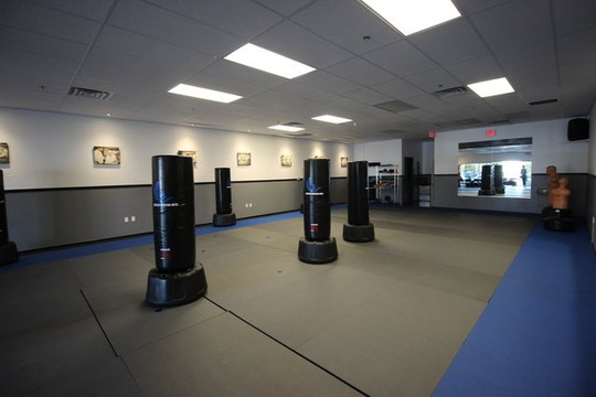 Image 1 from Ageless Martial Arts partner gallery