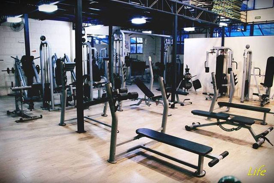 Imagem 1 da galeria do parceiro Life Academia