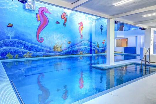 Imagen 1 de la galería del partner Centro Acuático Hippocampus