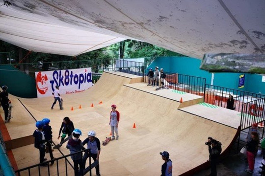 Imagen 1 de la galería del partner Sk8topia Sayavedra