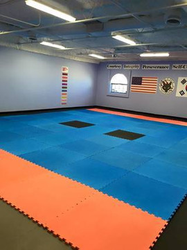 Image 1 from Wolfe Pack Taekwondo partner gallery