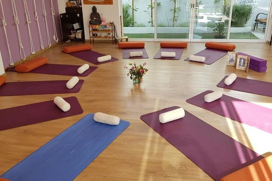 Imagen 1 de la galería del partner Anamaya Yoga