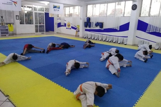 Imagen 3 de la galería del partner Tollan Tkd San Marcos