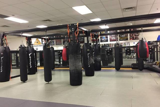 Image 1 from MMA Lab partner gallery
