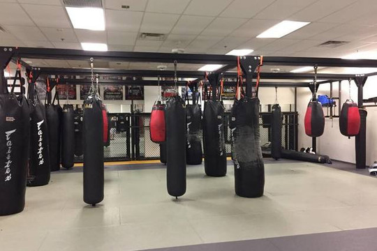 Image 2 from MMA Lab partner gallery