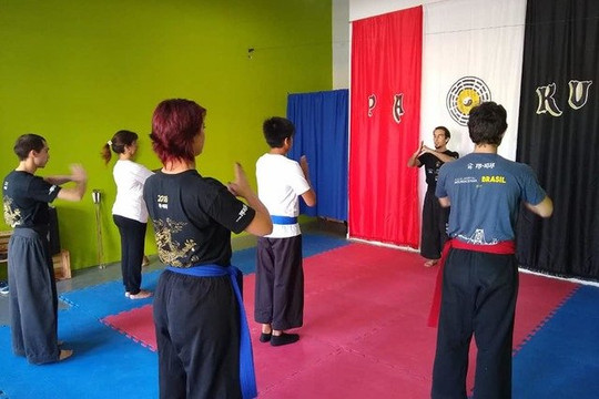 Imagen 1 de la galería del partner Pa-Kua Sexta Sección