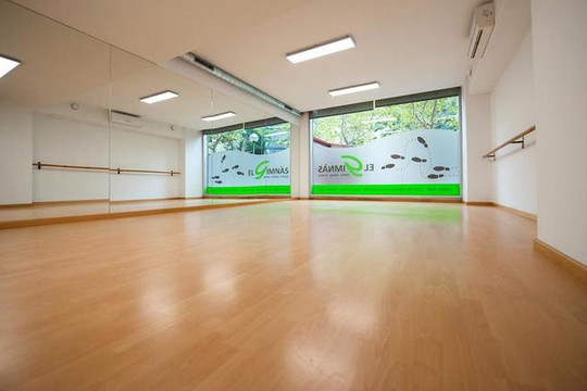 Imagen 3 de la galería del partner El Gimnàs