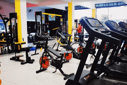 Imagem 1 da galeria do parceiro Gold Lions Academia