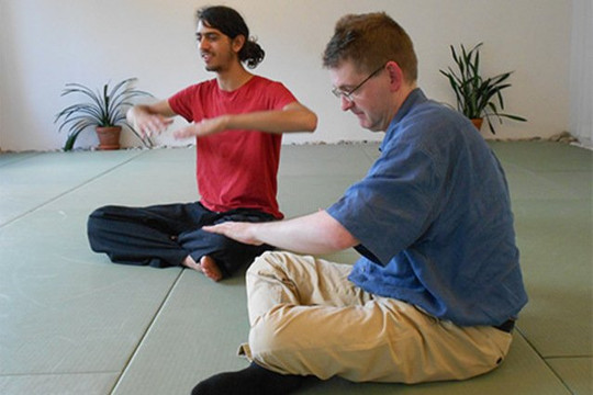 Bild 1 von Sein Dojo für Tai Chi Kineo Partnergalerie