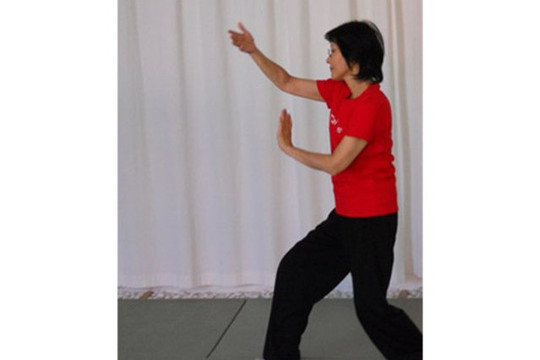 Bild 3 von Sein Dojo für Tai Chi Kineo Partnergalerie