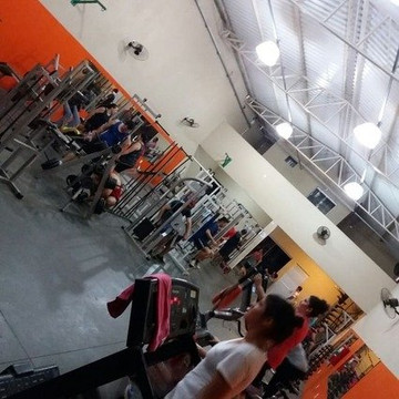 Imagem 3 da galeria do parceiro MUSCLE FITNESS GYM