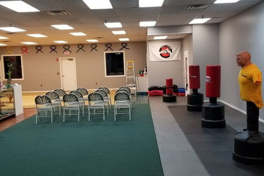 Image 3 from Red Dragon Martial Arts Academy partner gallery